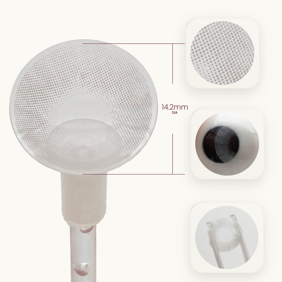 Polar Light Gray (1-Year)